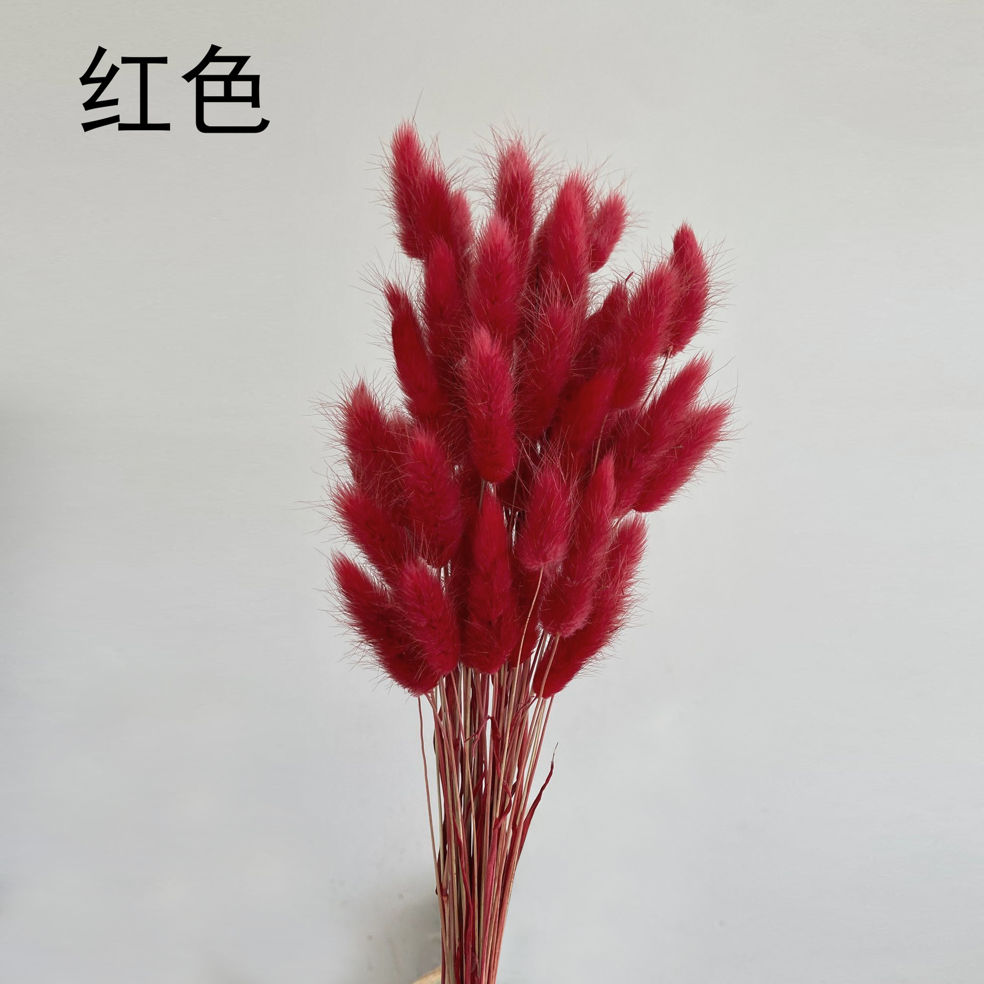 Hierba de cola de conejo flor seca hierba de cola de conejo blanco un montón de 50 piezas