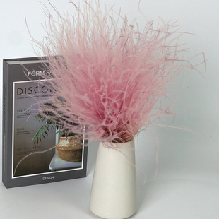 ��������ë�ݽqë�ݸɻ����r��20g/���k���ҼҾ��b��ֹ��������