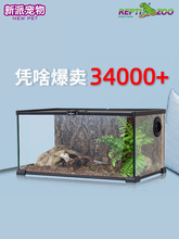 盒箱饲养陆龟蜥蜴造景箱爬虫蛙宠宠物缸爬角新派守宫刺猬reptizoo