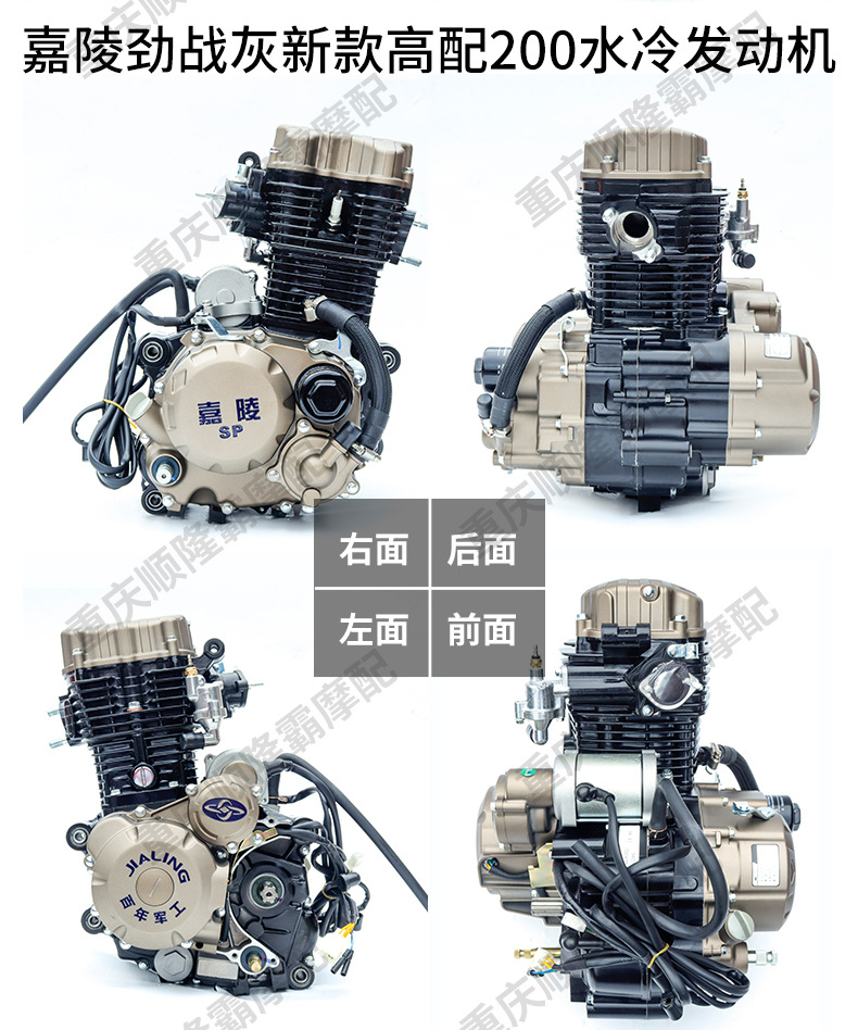 Jialing Brand Three-Wheel Motorcycle Engine 175 200 250 300 350 Water-Cooled Engine Original Genuine Product