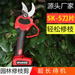 Portable Lithium Battery Pruning Shears Charging Wireless Electric Tree Trimmer Garden Electric Scissors Lithium Battery Branch Trimmer