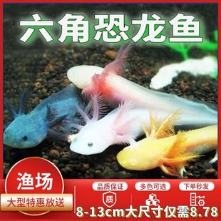 ���ǿ����~�^�p�~���~���~�\����ˮ��ˮ�~ϔ������B�����~���]