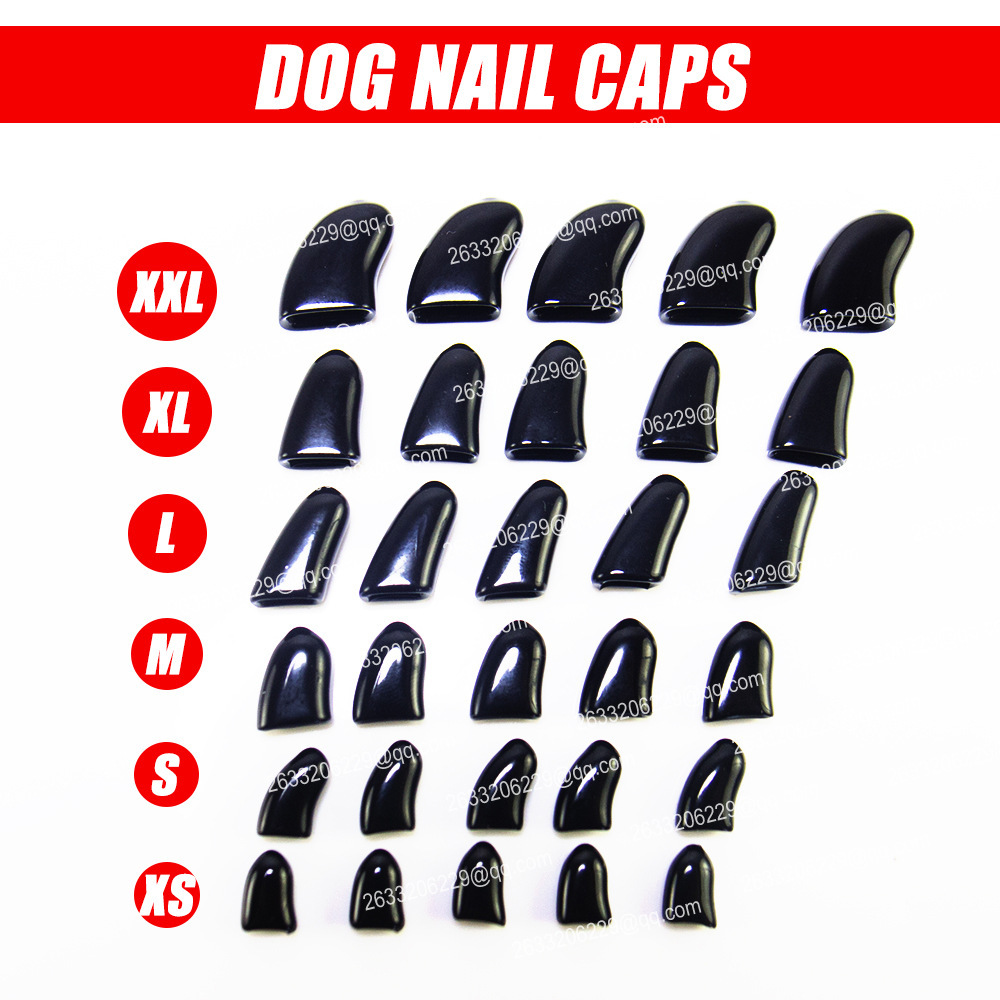 10427953897_1614002113