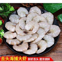 ȥ�^ȥ�r�����rβ���r�ֹ��ք��r�ʺ��r�ʟo�������r�rβ