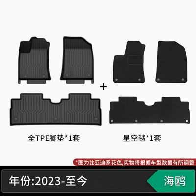 Suitable for BYD, TPE Modelə uyğun ayaqaltı - 23-25-models-byd-seagull-tpe-floor-mats-starry-sky-carpet