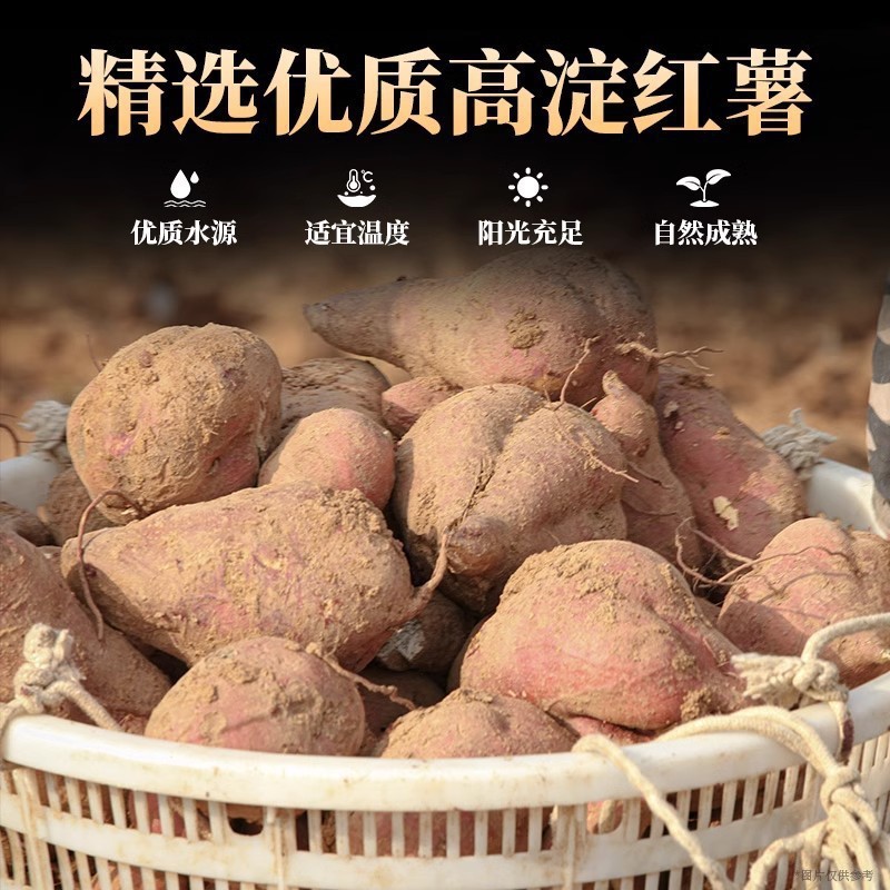 河南农家特产正宗纯手工无添加红薯粉条红薯粉地瓜粉5斤细粉粉丝|undefined