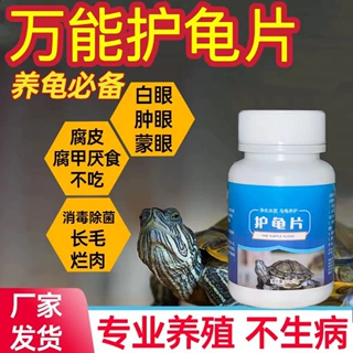 护龟片养龟免煮龙眼叶腐皮烂甲调节改善水质乌龟用龟缸造景全通用