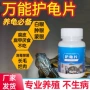 水质调节乌龟腐皮片