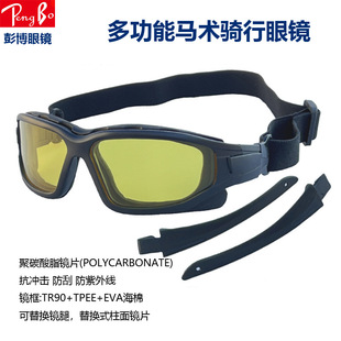Outdoor Sports Glasses Replaceable Glass Leg Multifunctional Cycling Glasses Bicycle Sunglasses with Sponges Goggles