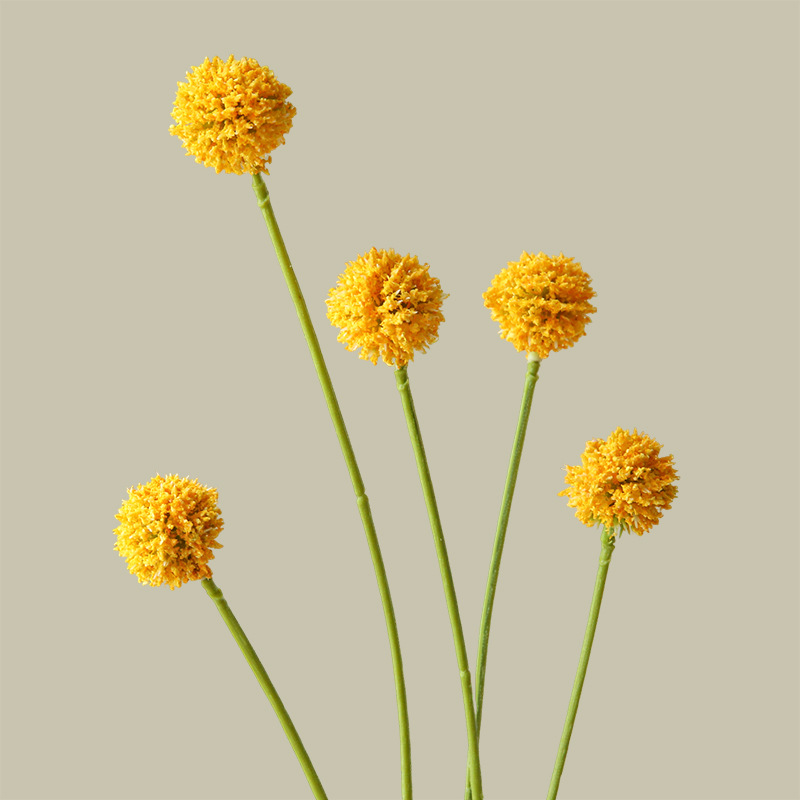 주황색