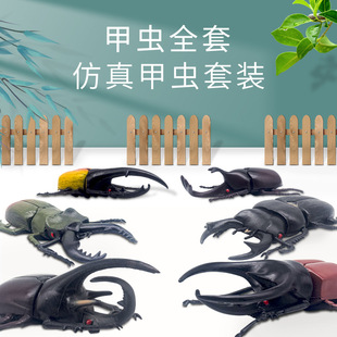 Tricky beetle simulation model toy unicorn fairy big pocket beetle model children's toys science and education toys wholesale