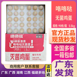 �����}����u���o������ʳ��90ö ���r�I�B�r�u�� ����5.5kg