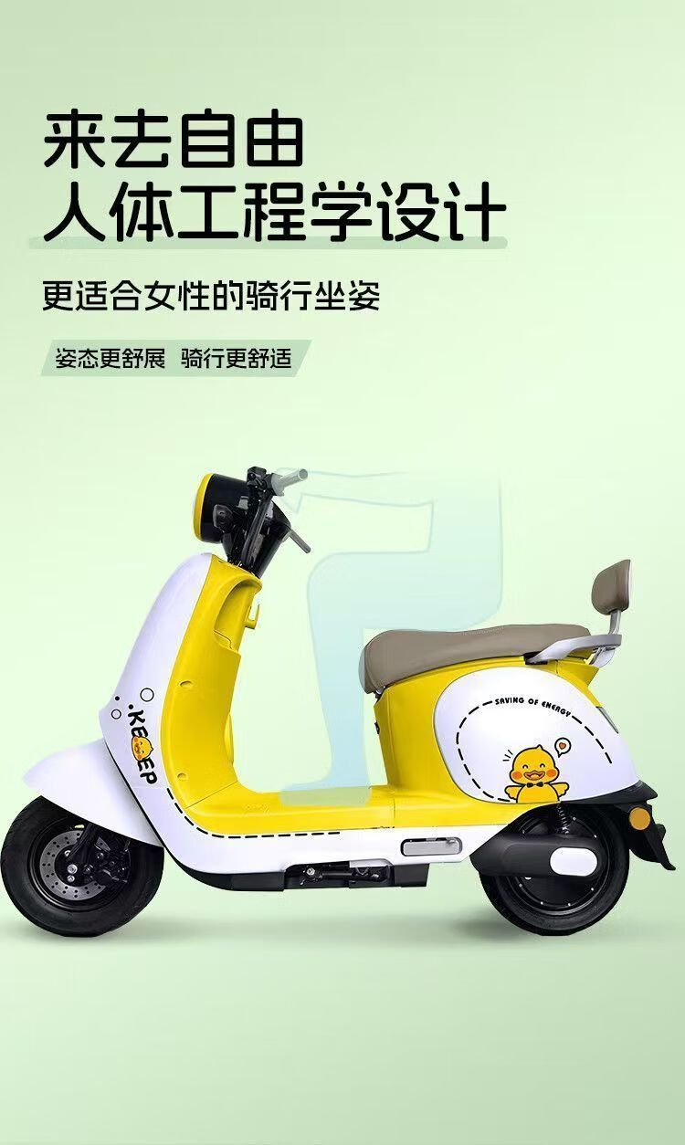 Electric Motorcycle Scooter