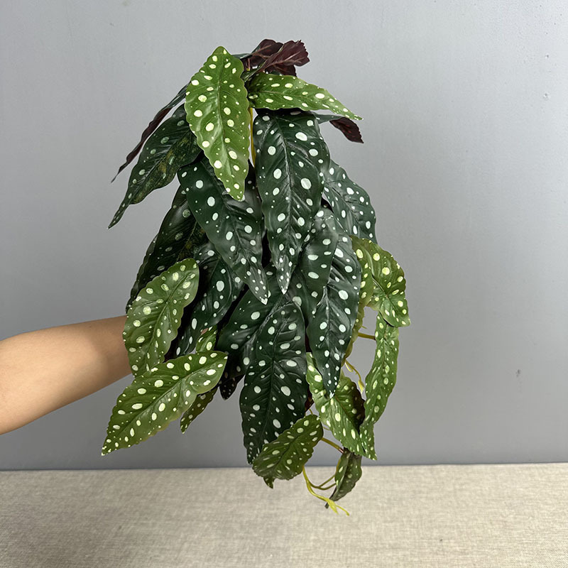 模擬ポトス籐アイビー植物壁装飾壁掛け籐蔓模擬植物ベゴニア壁掛け|undefined