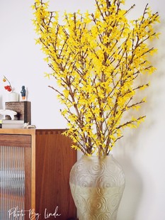 Sf Selected Inch-Inch Gold Dry Branches Soaked in Water Blooming New Year's Eve Flowers Lazy Green Plants Flowers Hydroponic Plants Yellow Strings of Gold