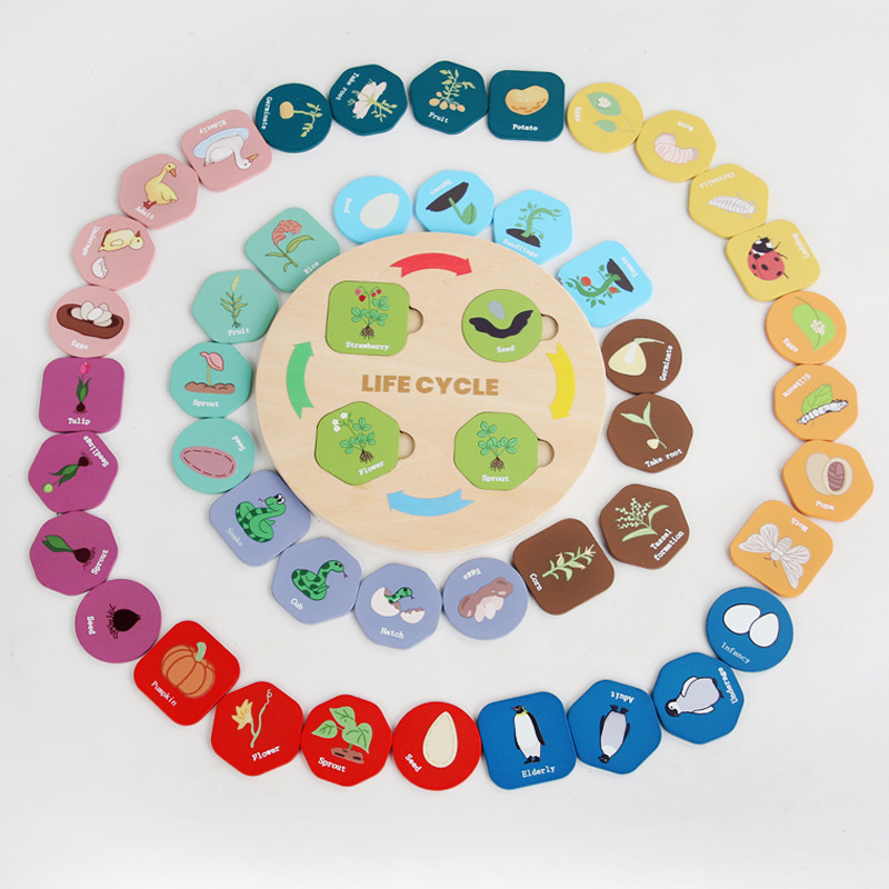 Bandeja de ciclo de crecimiento de madera transfronteriza juguetes pequeños juguetes de iluminación para niños educación temprana educativa deducción juguetes adornos