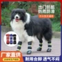 防水防滑高筒弹力大型犬