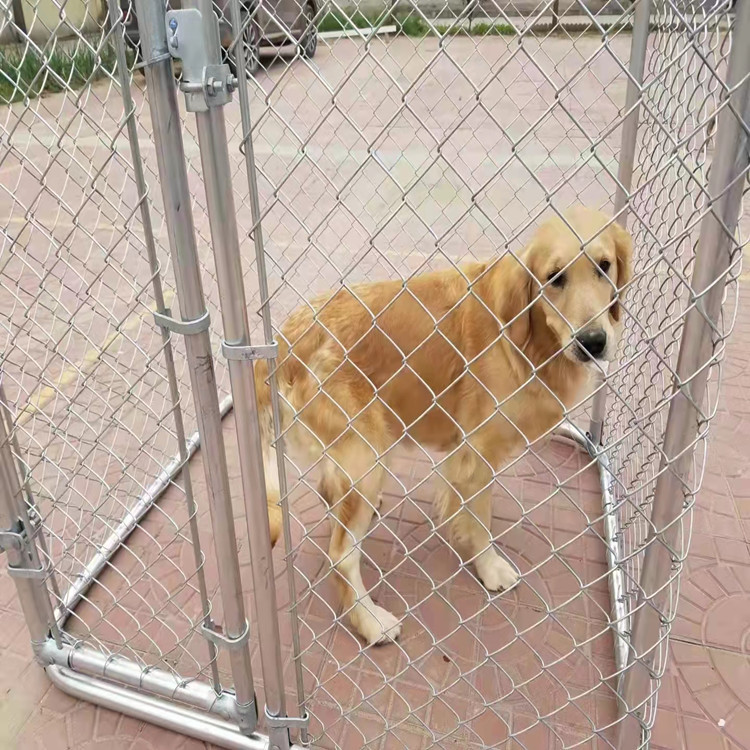 厂家3mm丝径5cm网孔热镀锌养殖围栏勾花网出货快