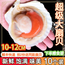 ly扇贝鲜活特大半壳商用冷冻新鲜蒜蓉粉丝烧烤10粒海鲜带壳虾夷扇