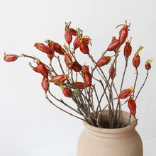 狂想者新品天然风干带枝栀子果花束民宿家具复古轻奢干花装饰摆件