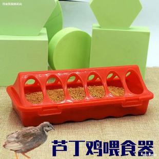 Quail Chicken Feeder Automatic Chicken Feeder Chick Trough Small Automatic Waterer Quail Feed Feeder