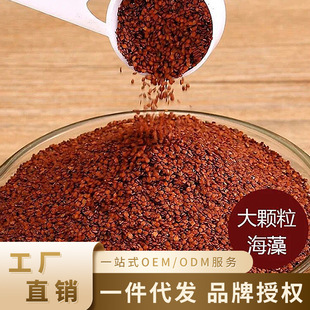 5a�����w��������Ĥ1000g����Ժ���ô����������̝������w����Ĥ