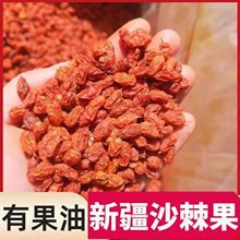 沙棘果干野生新疆特产果肉油润粒大肉厚果油含量高无添加沙棘果粉