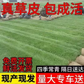 实木床;桌类、茶几;餐桌