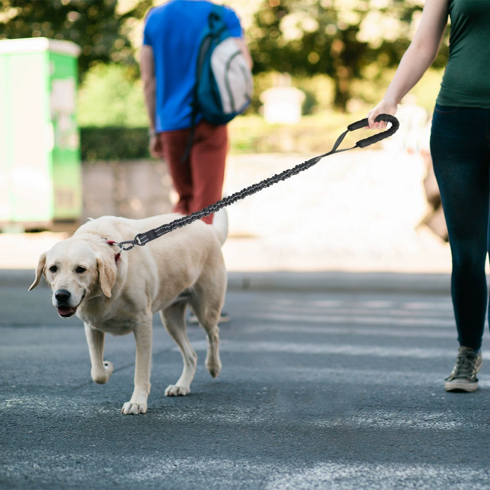 Открытый большой поводок для собак, чтобы предотвратить столкновение
