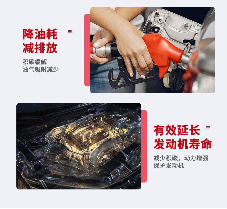 Bafu G17 Gasoline Cleaner, Automotive Fuel Additive, Removes Carbon Deposits in the Engine Oil Circuit, Cleans Exhaust Gas