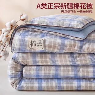 Processed and Customized New Xinjiang Cotton Quilt for the Beginning of School Season, Thickeneded and Warm, Single Spring & Fall Quilt, Student Dormitory Quilt Core