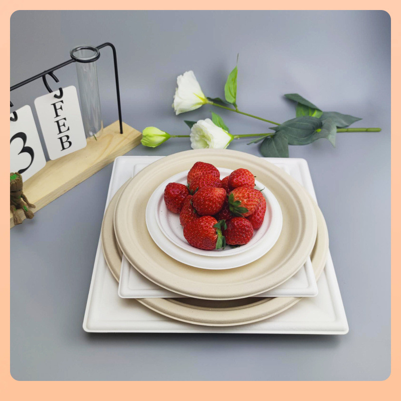 Vajilla de fiesta desechable 10 placa de papel moldeada de pulpa de bagazo disco desechable⚘Platos de 9 pulgadas W18
