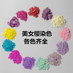 Beauty Sakura Dried Flower Embossed Wholesale Embossed Dried Flower Hand-Made Face Painting Glue DIY Bookmark Material Plant Specimen