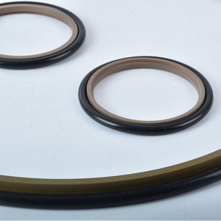 STd shaft with Stel seal Gram ring wear-resistant corrosion-resistant seal hydraulic cylinder piston seal X20