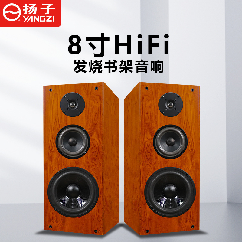 揚子HIFI10インチパッシブスピーカー三分周波本棚スピーカー発熱音響ステレオ家庭用ハイエンドオーディオ|undefined