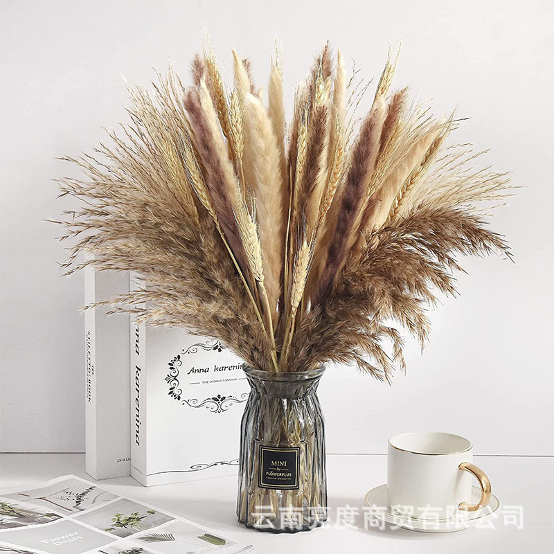 Pampas naturales ramo de flores secas cola de conejo hierba pequeña Reed polvo Reed madera estilo bohemio decoración del hogar