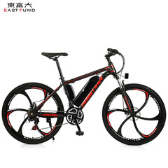 メーカーは26インチの山岳電気リチウム電気自転車を供給しています。