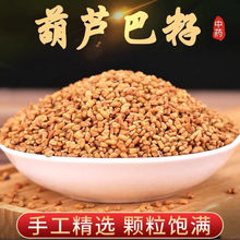 芦巴籽苦豆籽香豆凉皮调料炸辣椒油新货苦豆籽葫芦巴豆正宗批发