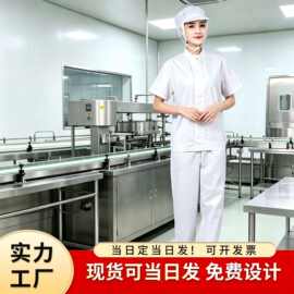 夏季短袖食品厂工作服车间仓库药厂工作服套装现货食品服洁净带帽