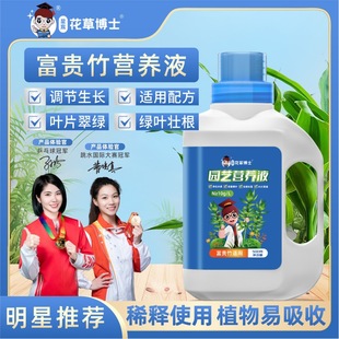 Special nutrient solution for rich bamboo hydroponic plant control yellow leaf rooting promotion Guanyinzhu copper money grass general fertilizer