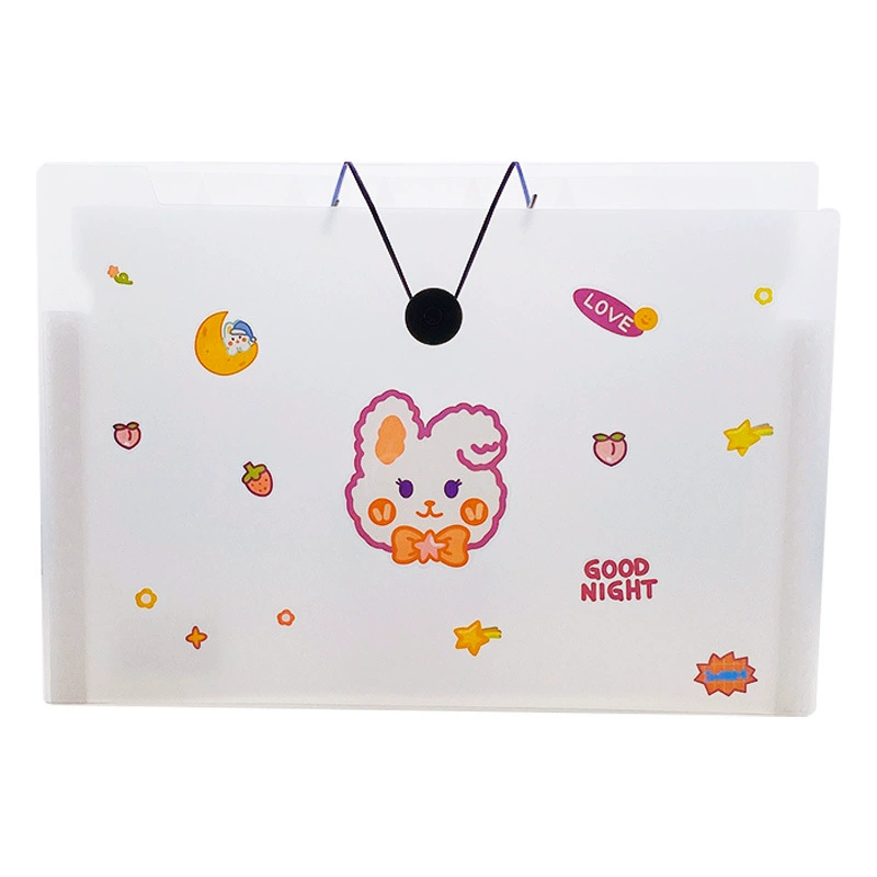 Capacious organ, multilayer bag for documents, storage system, folder for folders