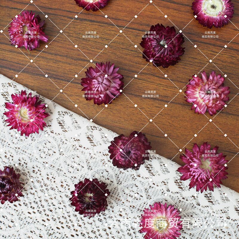 【小雏菊 麦秆菊】干花批发diy材料包真花花材手工拍照装饰七彩菊|undefined