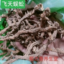 野生飞天蜈蚣入地蜈蚣蜘蛛抱蛋竹叶伸筋九节龙竹根七九龙