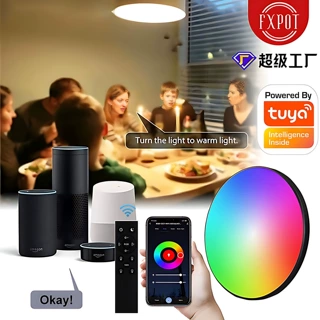 亚马逊涂鸦WIFI吸顶灯AlexaGoogle调光调色RGBCW卧室灯双模控制