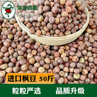 �n�����Z ����50�� ِ�������I�B����ʳ