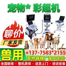 便携式兽用彩超仪_宠物心脏彩超机_猪马牛羊B超机厂家260625