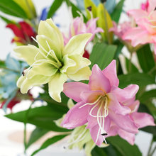 ���滨��֧С�ٺϻ��Ҿ��b�С�ѻ����Ҿ�DIY��������羳���l