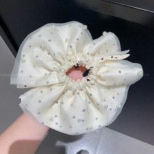 �p����������ݼ��ؔನ�c���c�lȦ~���鳬��̖���Rβ�����^�l�K