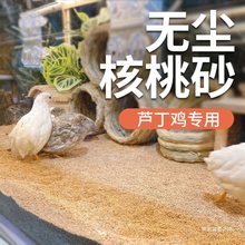 宠物芦丁鸡核桃砂垫料除臭无尘核桃壳筛网铲子发酵床卢丁鸡核桃沙