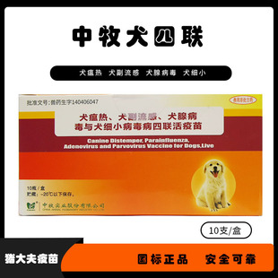 Chinese Dog Four-In-One Domestic Vaccine Dog Vaccine to Prevent Parvovirus Canine Distemper and Canine Adenoid Disease Prevention Is Scratched